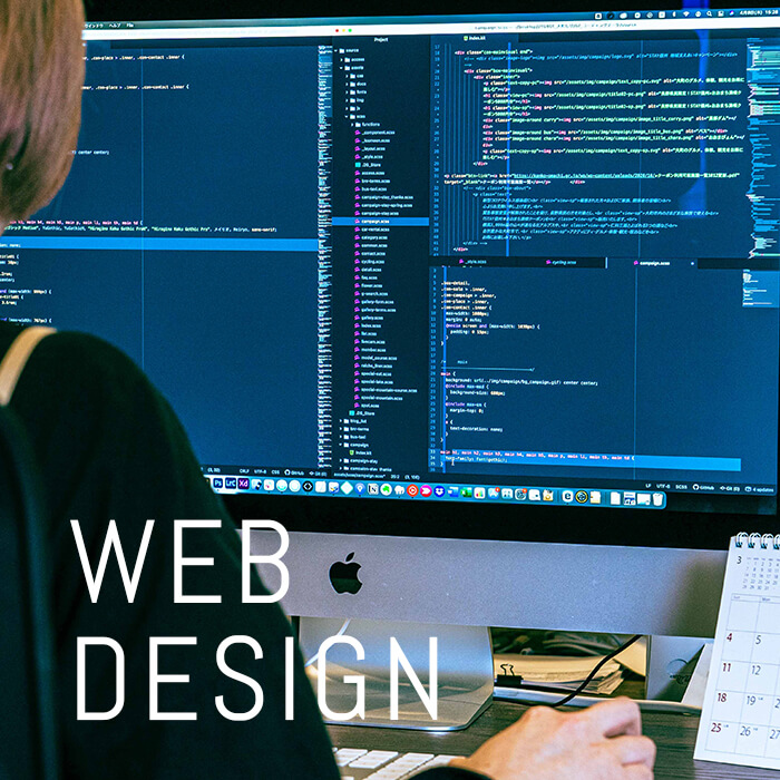 WEB DESIGN